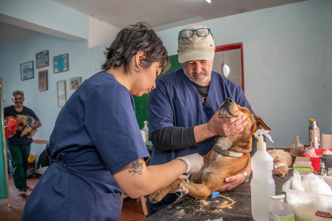 Dra. Mariana: la veterinaria de aiTism que responde cuando más la necesitas